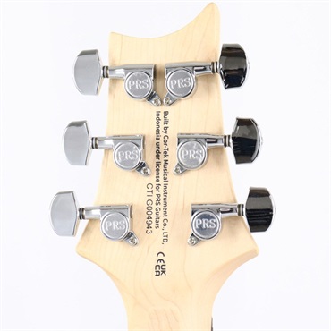 P.R.S. SE NF3 (Pearl White) 画像8