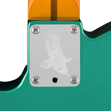 Fender USA Susan Tedeschi Telecaster (Aged Caribbean Mist/Rosewood) 画像4