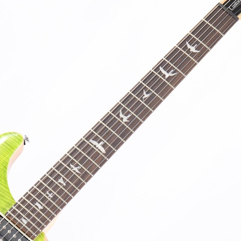P.R.S. SE Custom 24 (Eriza Verde) [日本限定カラーモデル] ｜イケベ