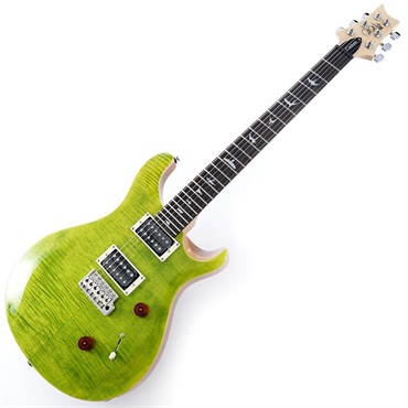 P.R.S. SE Custom 24 (Eriza Verde) [日本限定カラーモデル] 画像1