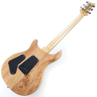 P.R.S. SE Custom 24 (Eriza Verde) [日本限定カラーモデル] 画像2