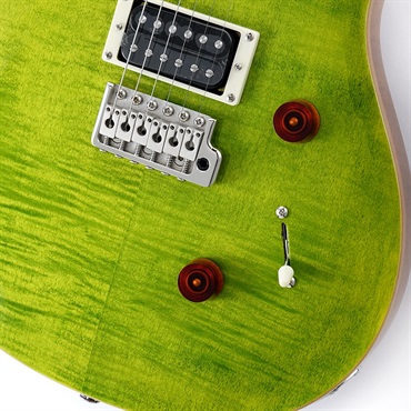 P.R.S. SE Custom 24 (Eriza Verde) [日本限定カラーモデル] 画像4