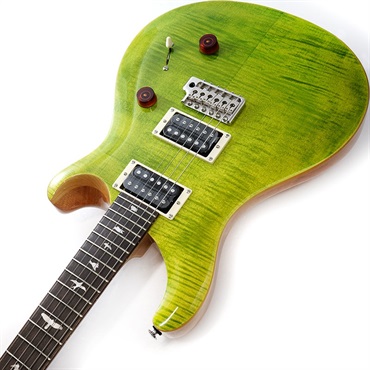 P.R.S. SE Custom 24 (Eriza Verde) [日本限定カラーモデル P.R.S. SE Custom 24 (Eriza Verde) [日本限定カラーモデル
