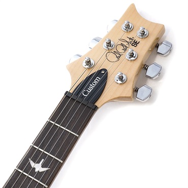P.R.S. SE Custom 24 (Eriza Verde) [日本限定カラーモデル] 画像8
