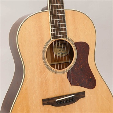 Bourgeois SD The Banjo Killer #10248 ボジョア 画像6