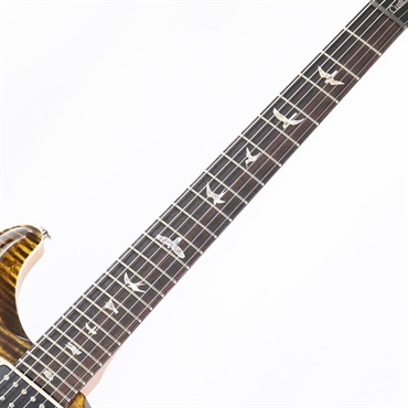 P.R.S. Custom 24-08 (Yellow Tiger) [SN.0379696] 【2024年生産