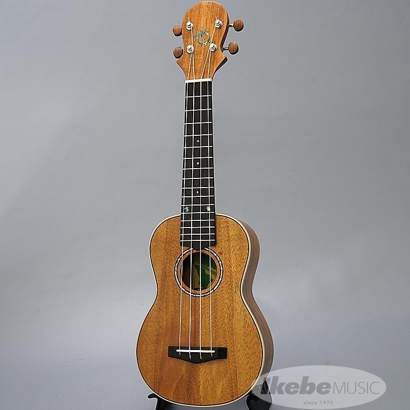 BIG ISLAND 【特価】【ブラックフライデーセール】 KM-SPG[ソプラノ  