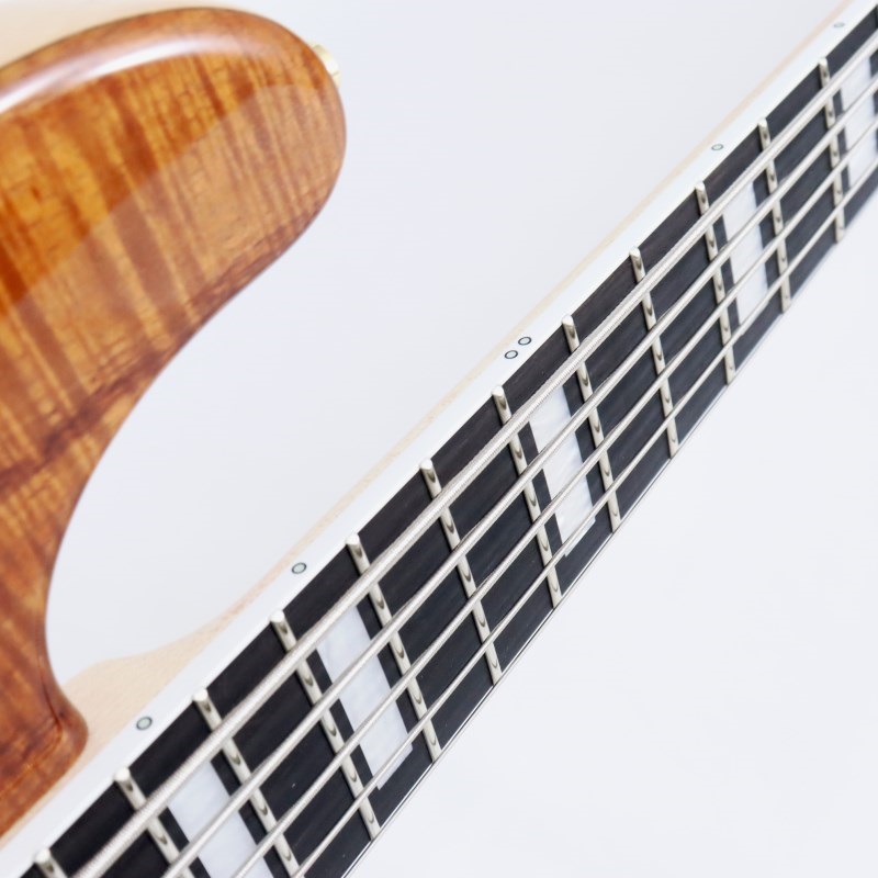 MAYONES Jabba Custom 5 Master Grade Koa Top w/Plexi PG， Finger Ramp (T-NAT-G) 画像9