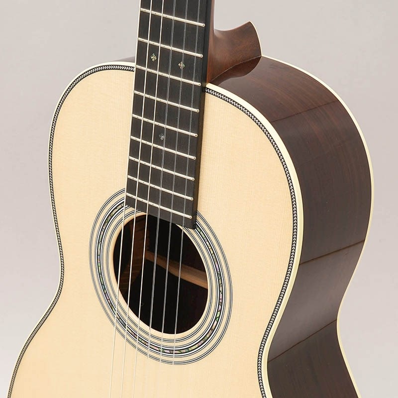 MARTIN CTM SIZE 2 Nylon Italian Alpine Spruce / Indian