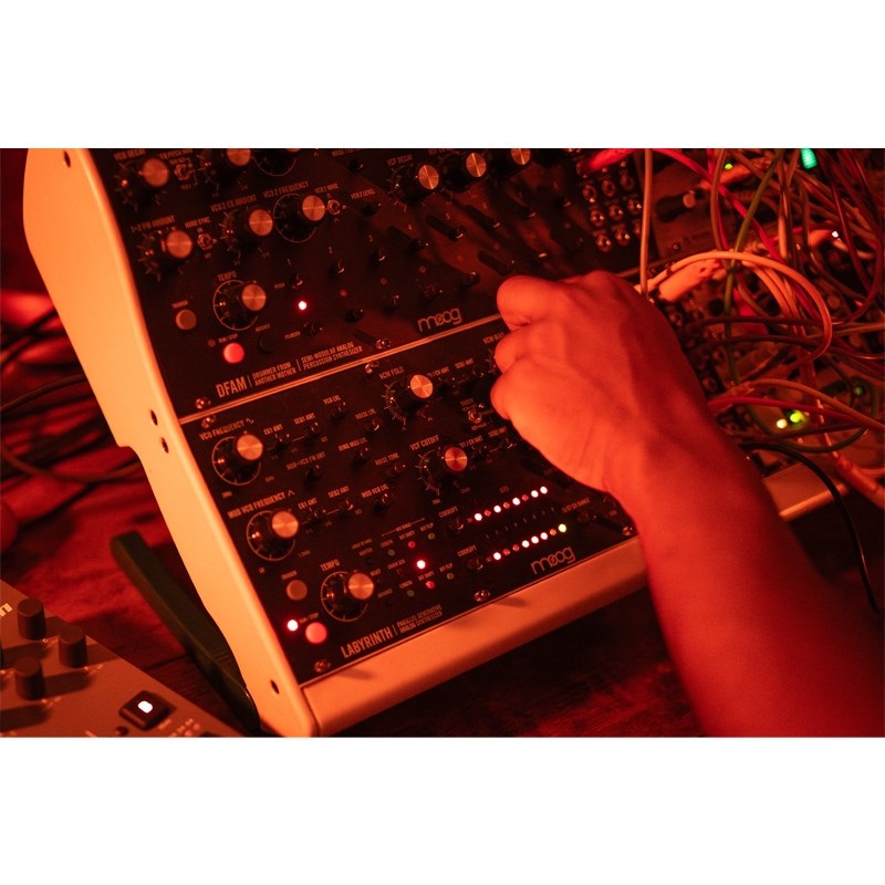 moog モーグ Labyrinth (ラビリンス) パラレルジェネレーティブ アナログシンセサイザー (セミモジュラー) 画像4