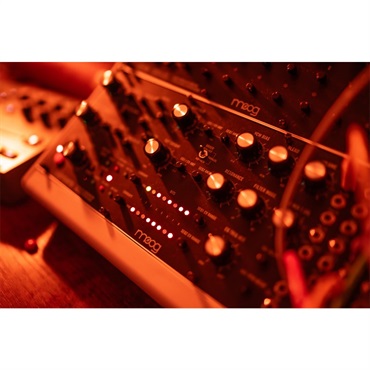 moog モーグ Labyrinth (ラビリンス) パラレルジェネレーティブ アナログシンセサイザー (セミモジュラー) 画像5