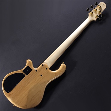 ベース Phoenix / BB-5-109 Burl Chestnut Phoenix / BB-5-109 Burl Chestnut