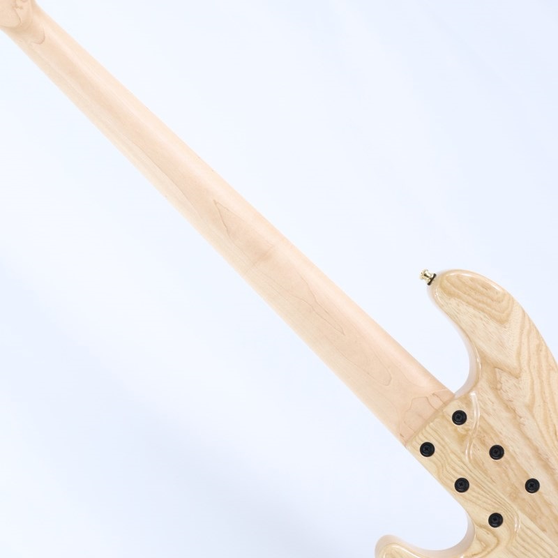 新品】mayones ベースケース (※ケースのみ) メイワンズ