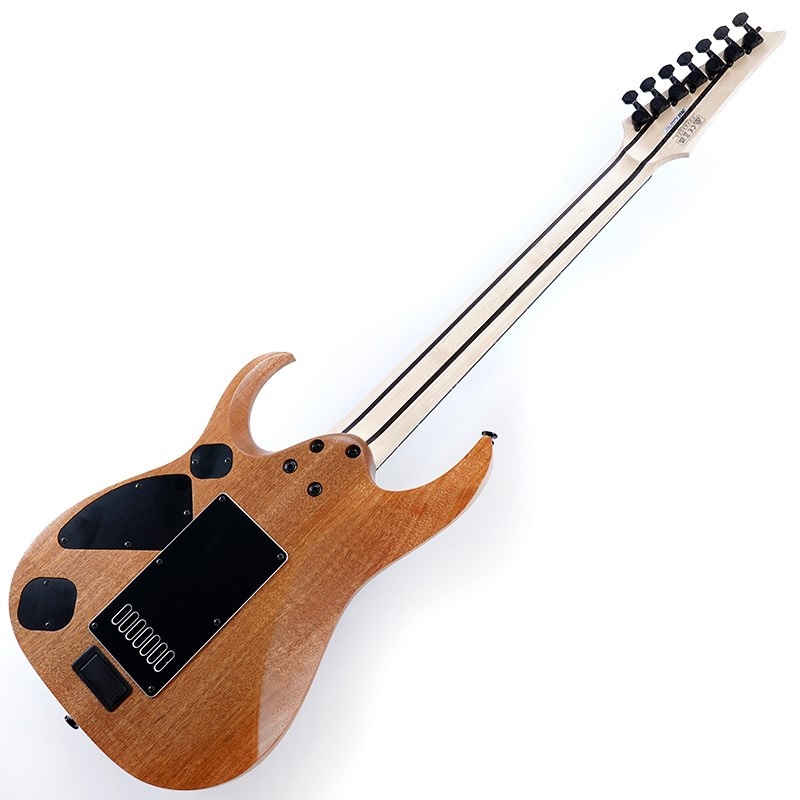 Ibanez Prestige Axe Design Lab RGDR4527ET-NTF (Natural Flat) [LIMITED MODEL] 画像2
