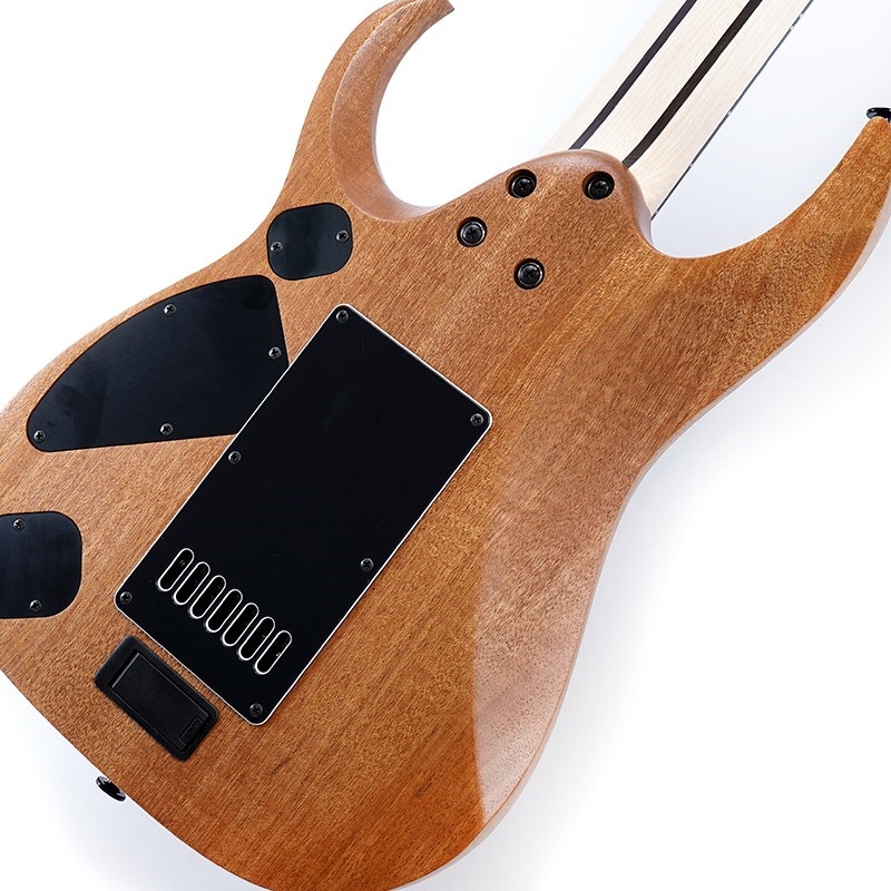 Ibanez Prestige Axe Design Lab RGDR4527ET-NTF (Natural Flat) [LIMITED MODEL] 画像7