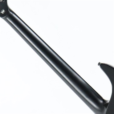 E-II HORIZON NT-II (See Thru Black Sunburst) [SN.ES0291243] 画像6