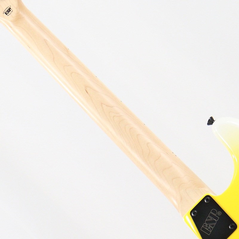 Edwards E-YELLOW TIGER (Yellow Tiger Graphic) [George Lynch