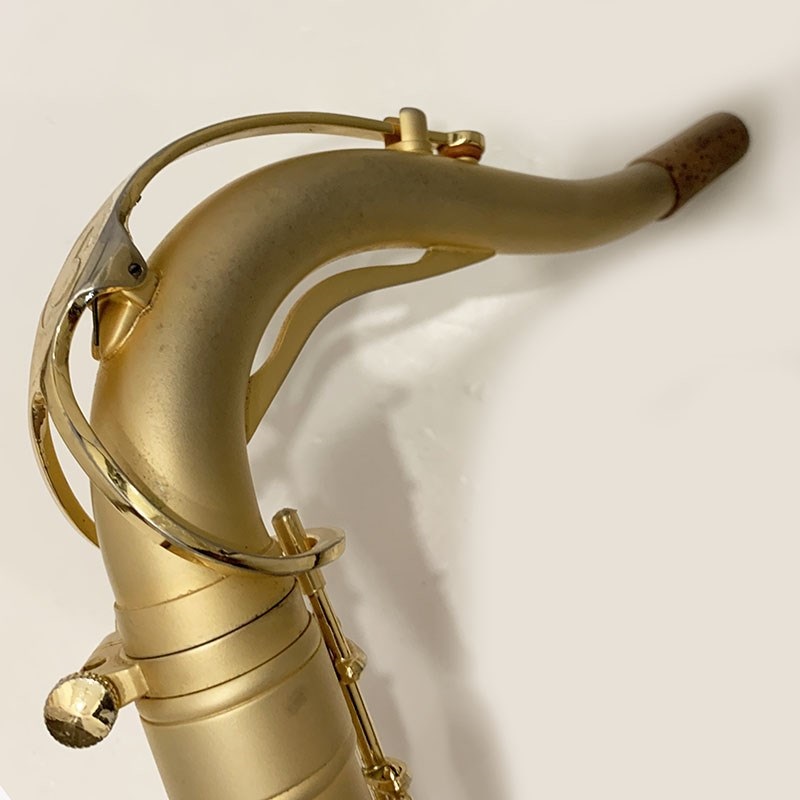 その他ブランド(管楽器・吹奏楽器) BORGANI 【USED】ボガーニ