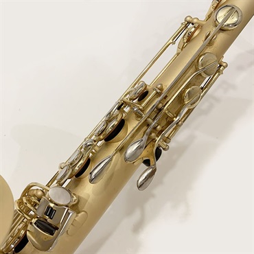 その他ブランド(管楽器・吹奏楽器) USED 中古 BORGANI ボガーニ テナーサックス PEARL GOLD S/N:161xx1［現状お渡し品・保証無し］ 画像10