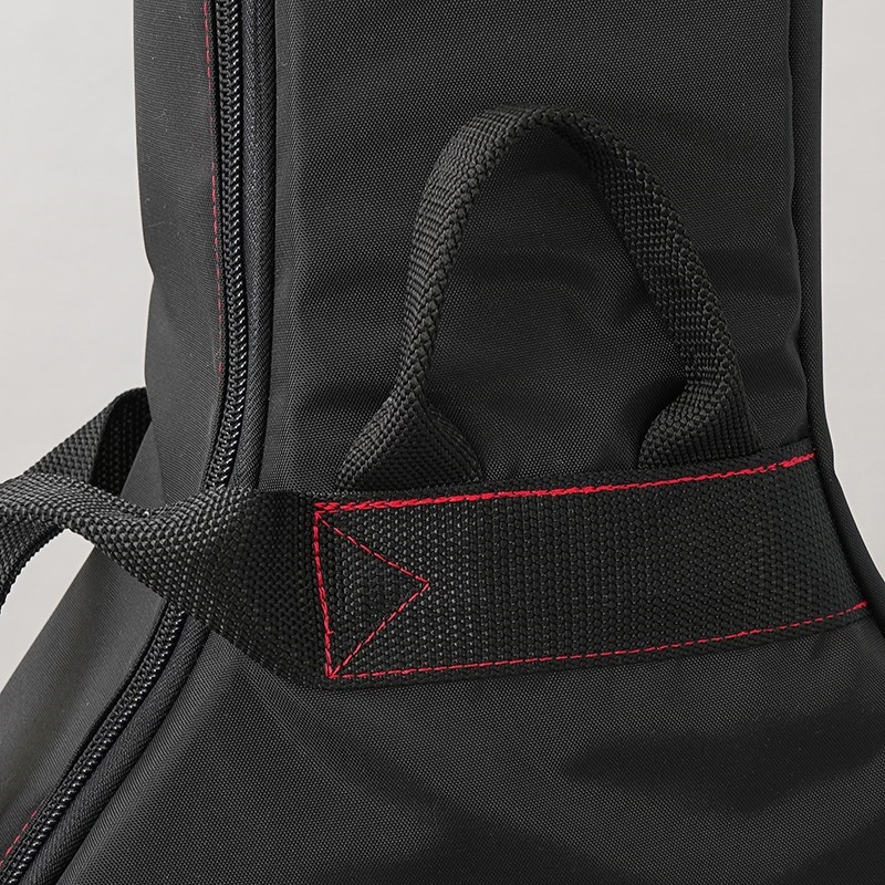 NAZCA NAZCA IKEBE ORDER Protect Case For Taylor Gc ナスカ 画像7