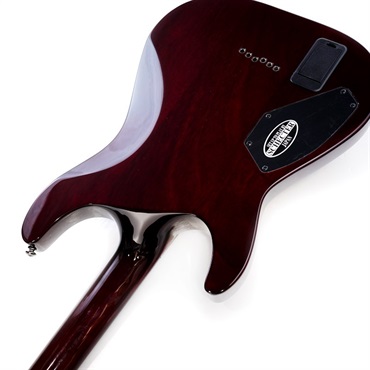 SCHECTER HellRaiser C-1 [AD-C-1-HR] (BCH) ｜イケベ楽器店
