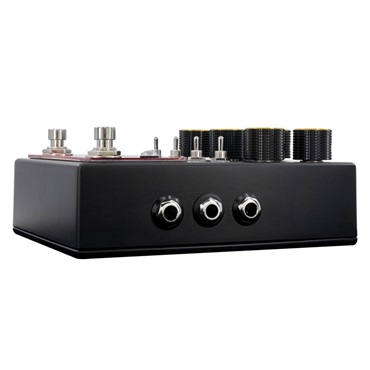 WALRUS AUDIO MERAKI Stereo Analog Dual Delay 画像2