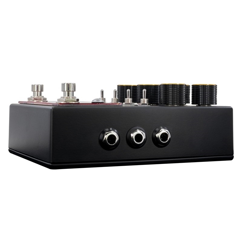 WALRUS AUDIO MERAKI Stereo Analog Dual Delay 画像2