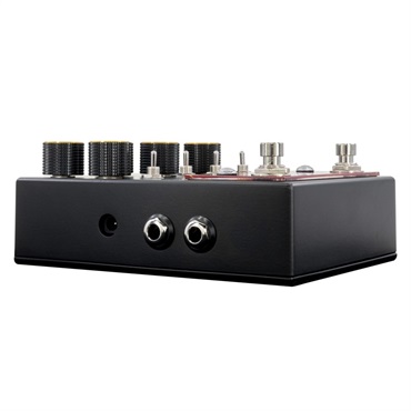WALRUS AUDIO MERAKI Stereo Analog Dual Delay 画像3