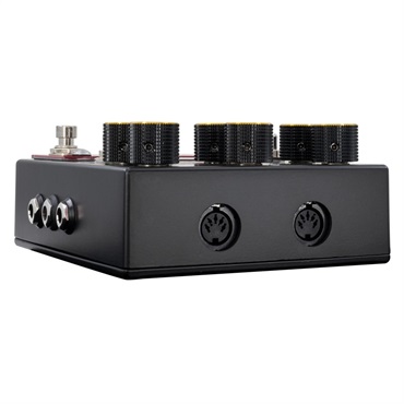 WALRUS AUDIO MERAKI Stereo Analog Dual Delay 画像4