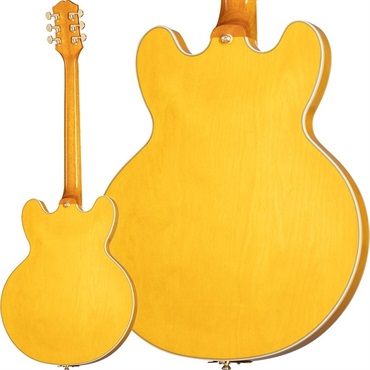 Epiphone Sheraton (Natural)[特価] 画像1