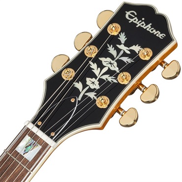 Epiphone Sheraton (Natural)[特価] 画像4