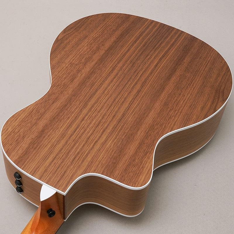 TAYLOR 214ce Walnut テイラー ｜イケベ楽器店オンラインストア