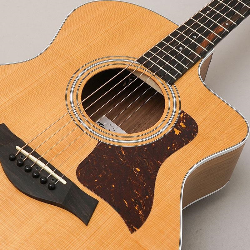TAYLOR 214ce Walnut テイラー ｜イケベ楽器店オンラインストア