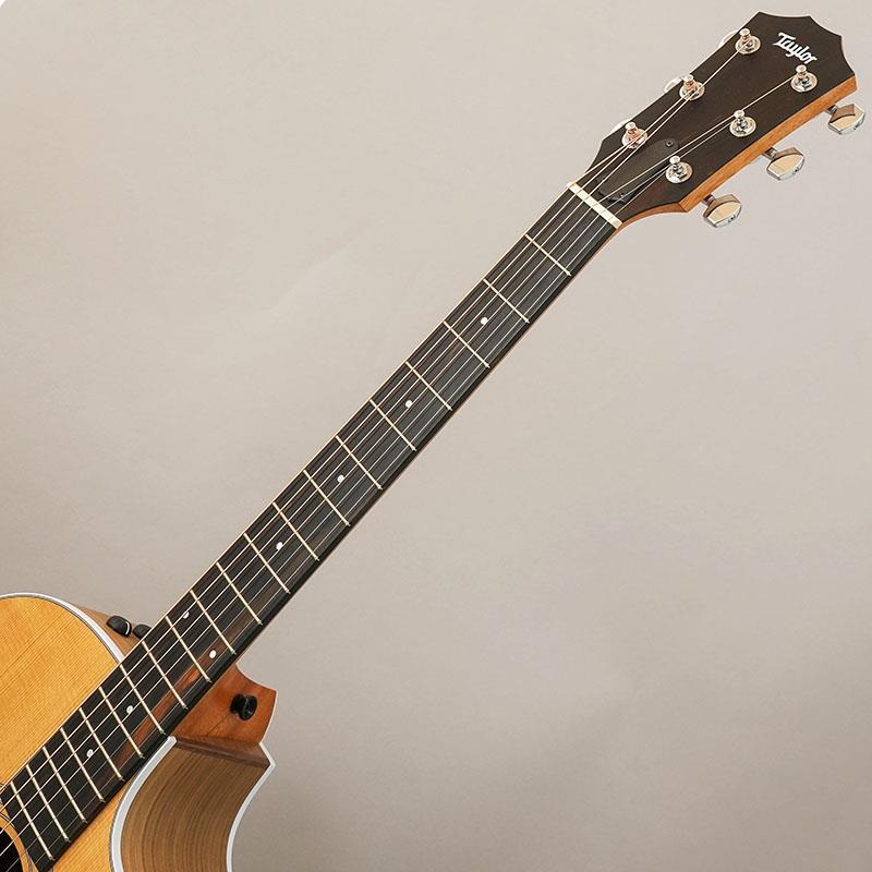 TAYLOR 214ce Walnut テイラー ｜イケベ楽器店オンラインストア