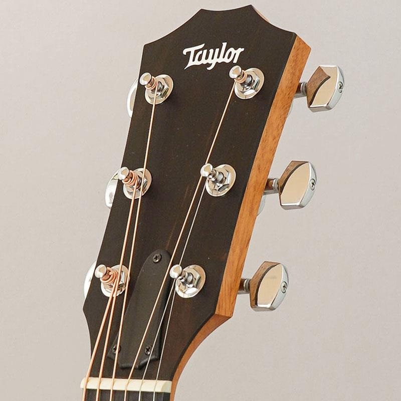 TAYLOR 214ce Walnut テイラー ｜イケベ楽器店オンラインストア