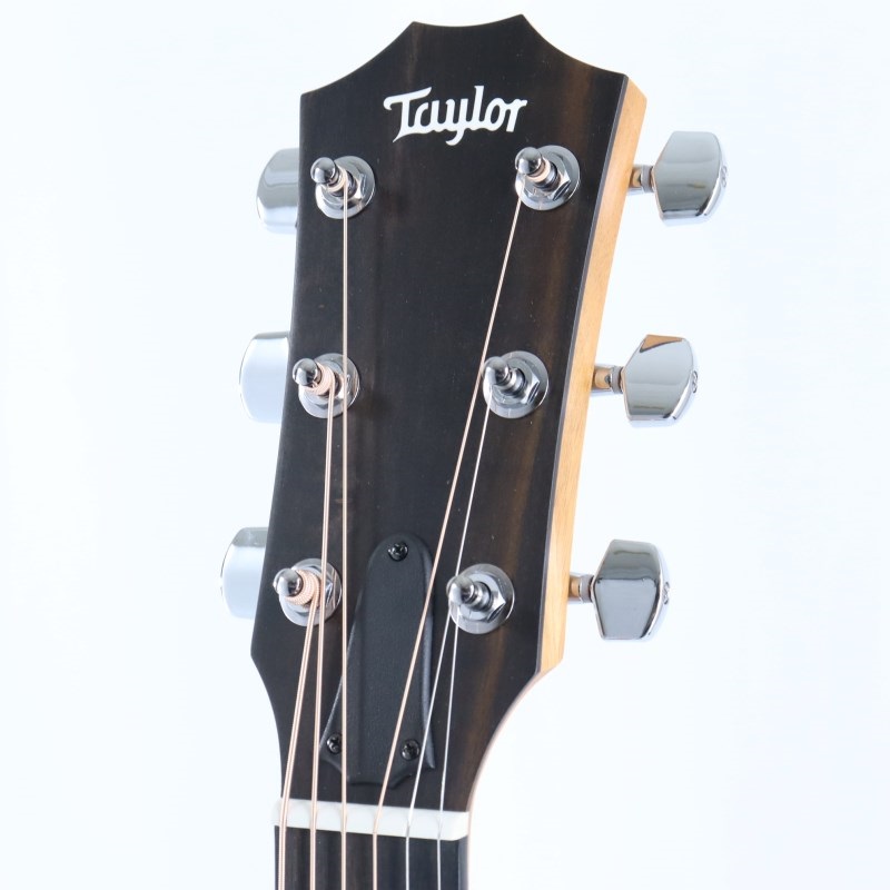 TAYLOR 214ce Walnut テイラー ｜イケベ楽器店オンラインストア