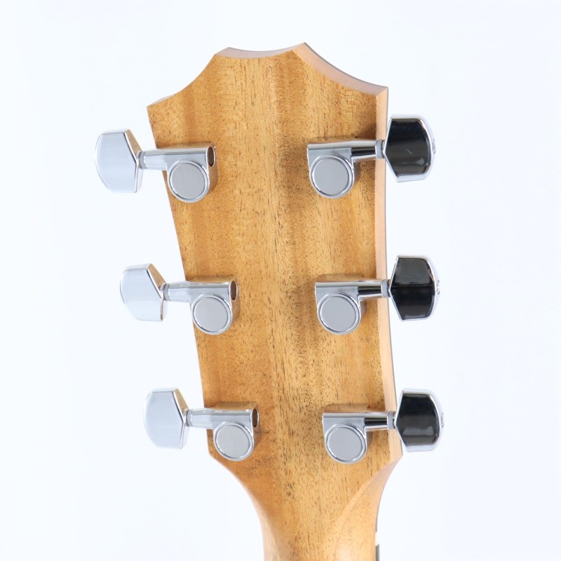 TAYLOR 214ce Walnut テイラー ｜イケベ楽器店オンラインストア