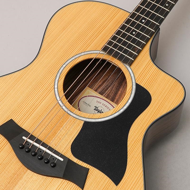 TAYLOR 212ce Plus テイラー ｜イケベ楽器店オンラインストア