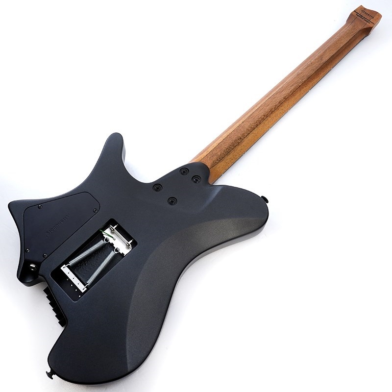 Strandberg Salen NX 6 Tremolo Plini Edition Black |イケベ Strandberg Salen NX 6 Tremolo Plini Edition Black |イケベ