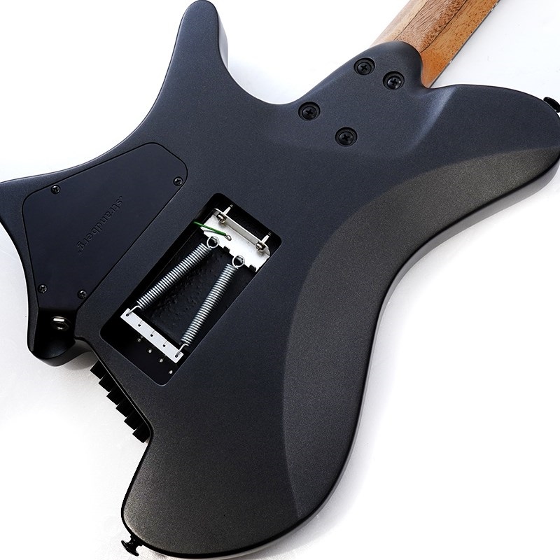 Strandberg Salen NX 6 Tremolo Plini Edition Black |イケベ Strandberg Salen NX 6 Tremolo Plini Edition Black |イケベ