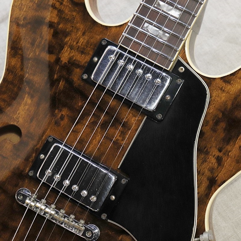 Gibson VINTAGE ES-335TDW '73 画像4