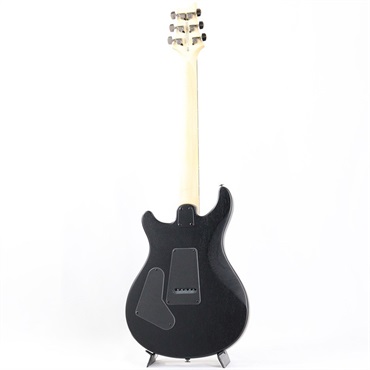 P.R.S. SE Swamp Ash CE 24 Sandblasted Limited Edition (Sandblasted White) 画像2