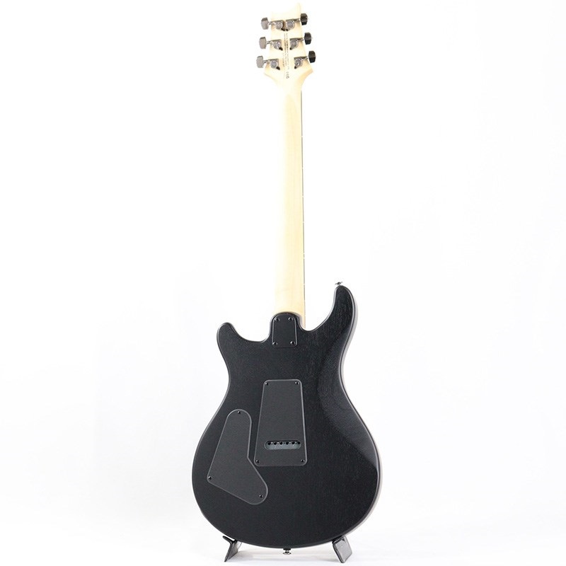 P.R.S. SE Swamp Ash CE 24 Sandblasted Limited Edition (Sandblasted White) 画像2