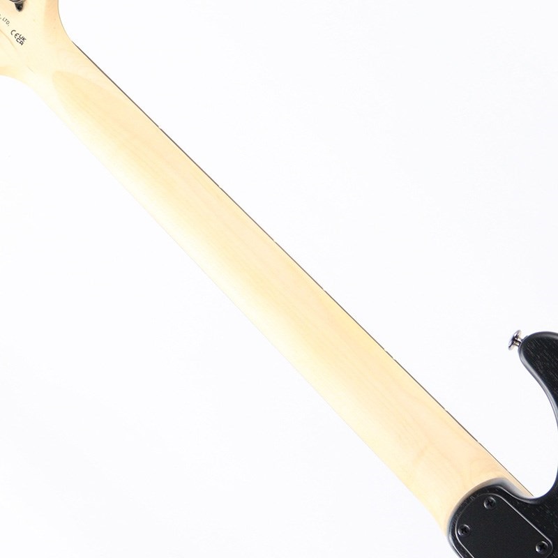 P.R.S. SE Swamp Ash CE 24 Sandblasted Limited Edition (Sandblasted White) 画像6