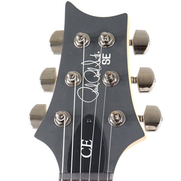 P.R.S. SE Swamp Ash CE 24 Sandblasted Limited Edition (Sandblasted White) 画像7