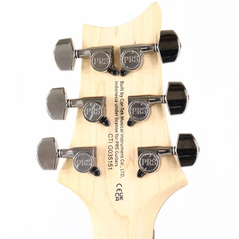 P.R.S. SE Swamp Ash CE 24 Sandblasted Limited Edition (Sandblasted Red) 画像8