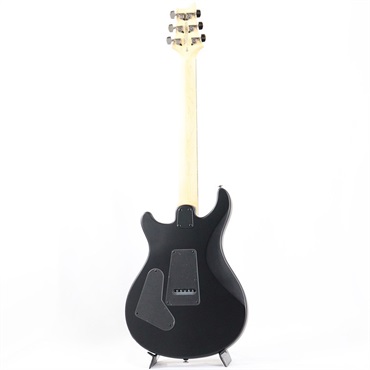 P.R.S. SE Swamp Ash CE 24 Sandblasted Limited Edition (Sandblasted Purple) 画像2