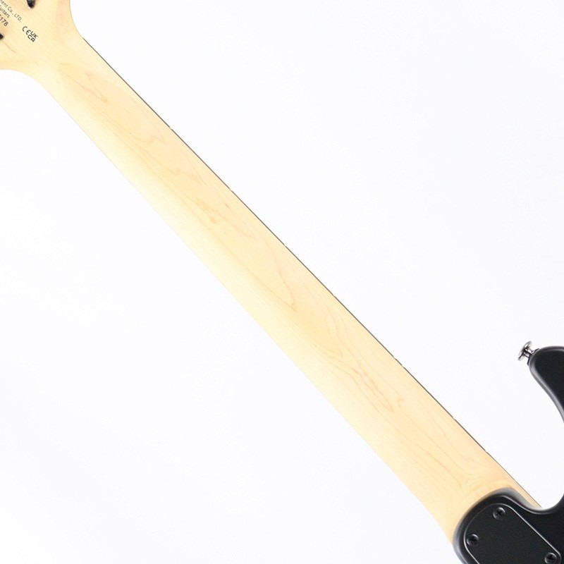 P.R.S. SE Swamp Ash CE 24 Sandblasted Limited Edition (Sandblasted Purple) 画像6