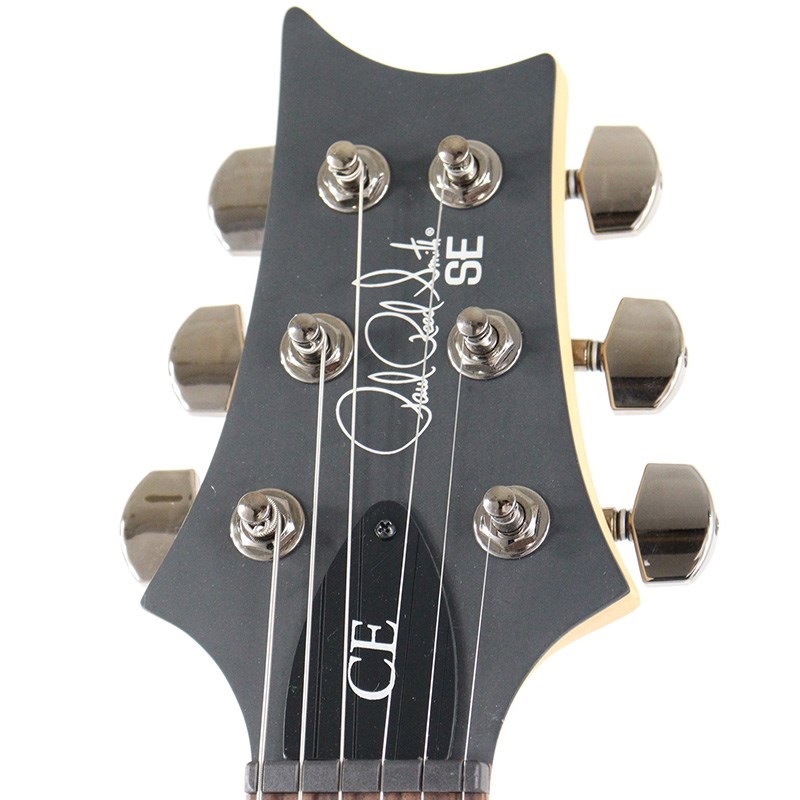 P.R.S. SE Swamp Ash CE 24 Sandblasted Limited Edition (Sandblasted Purple) 画像7
