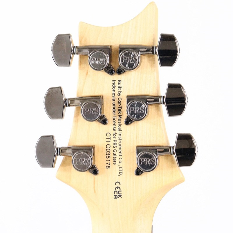 P.R.S. SE Swamp Ash CE 24 Sandblasted Limited Edition (Sandblasted Purple) 画像8